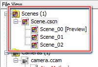 The new scene displays in File View