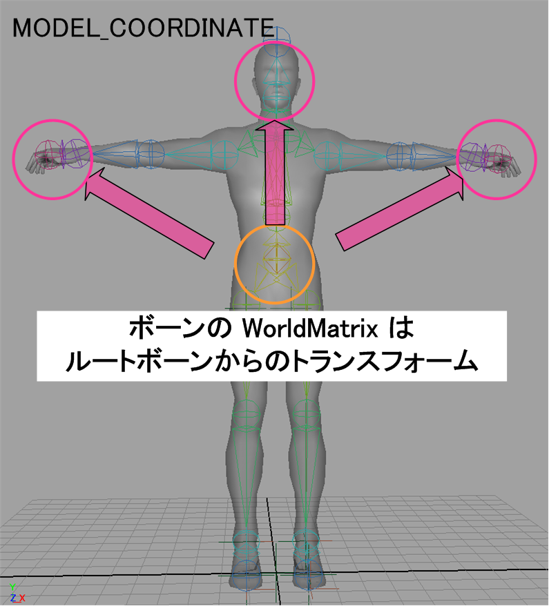 model_coordinate.png(72987 byte)